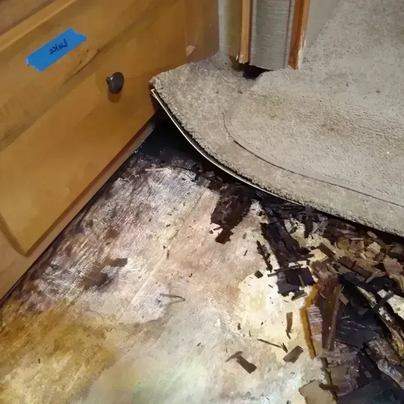 Best Wood Floor Water Damage Service in Campbell, MO